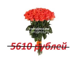 Букет из 51 коралловой розы