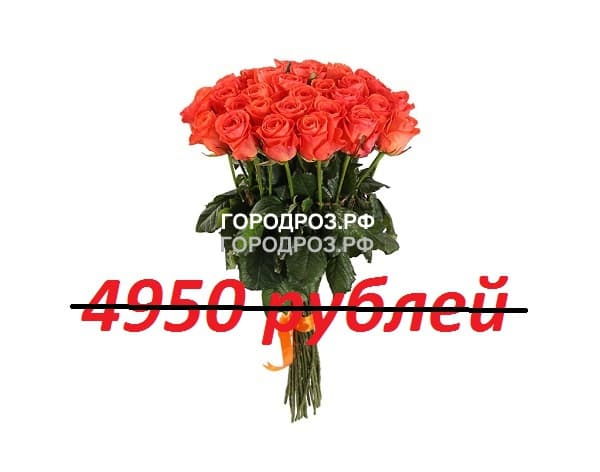 Букет из 55 коралловых роз