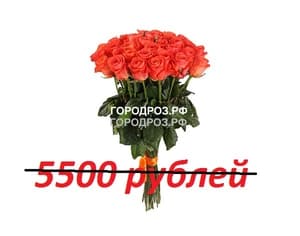 Букет из 55 коралловых роз