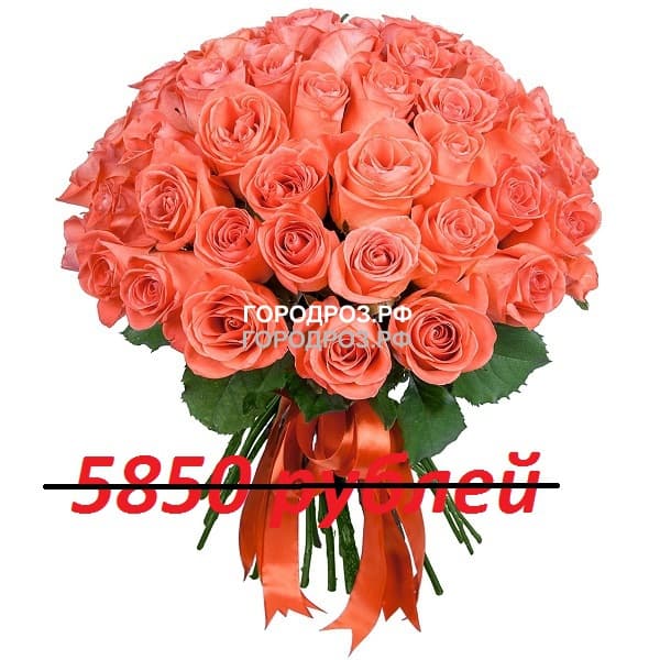 Букет из 65 коралловых роз
