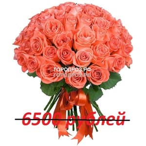 Букет из 65 коралловых роз