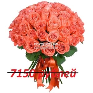 Букет из 65 коралловых роз