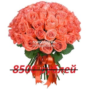Букет из 85 коралловых роз