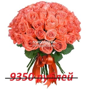 Букет из 85 коралловых роз