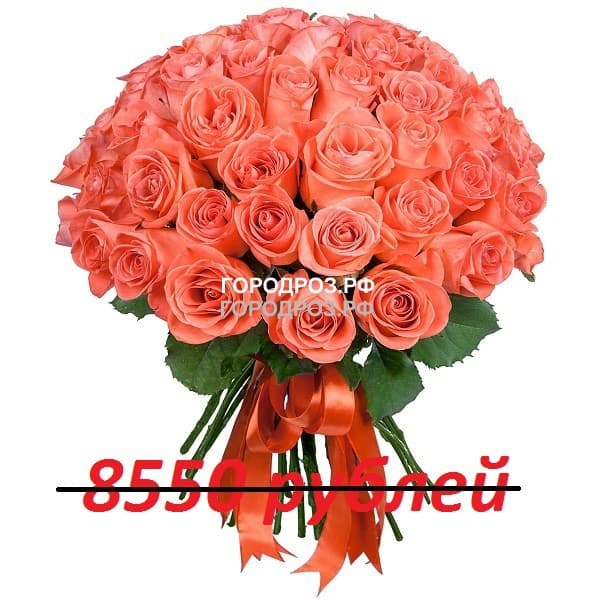Букет из 95 коралловых роз