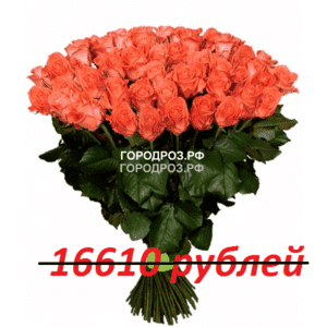 Букет из 151 коралловой розы