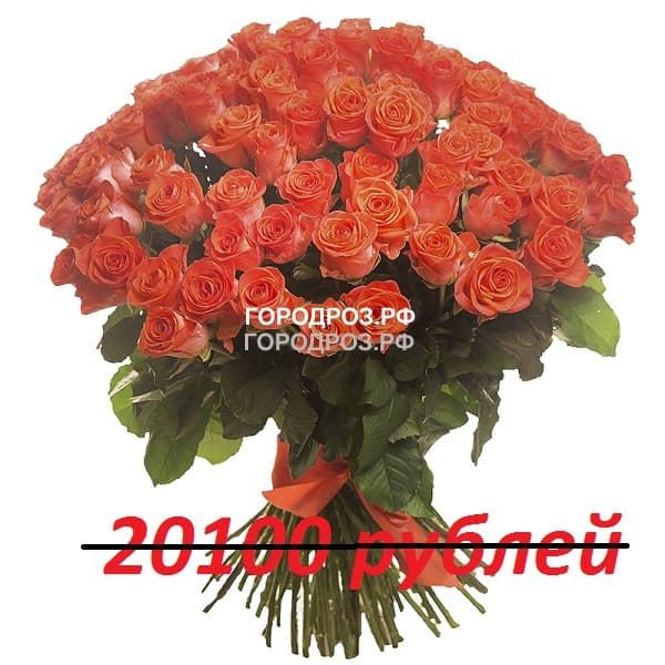 Букет из 201 коралловой розы