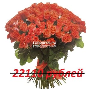 Букет из 201 коралловой розы