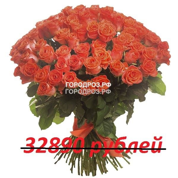 Букет из 301 коралловой розы