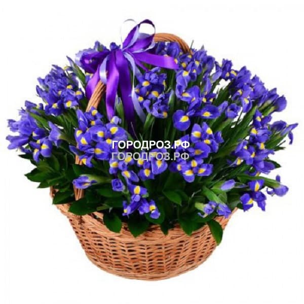 Ирисы ва корзине