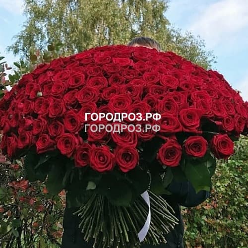 Букет из 251 красной розы