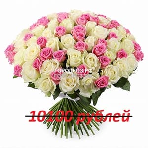 Букет из 101 розовой и белой розы