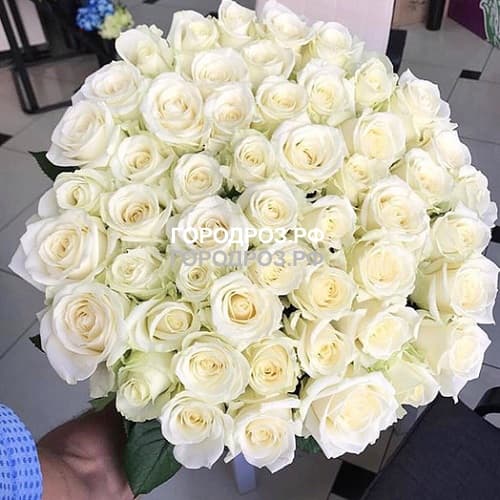 Букет из 65 белых роз