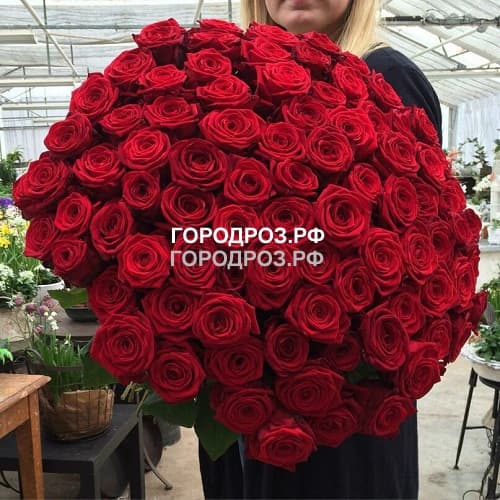 Букет из 65 красных роз