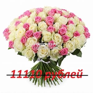Букет из 101 розовой и белой розы