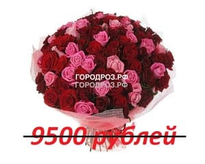 Букет из 95 красных и розовых роз