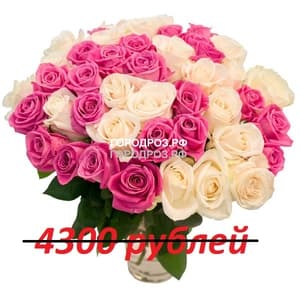 Букет из 43 розовых и белых роз