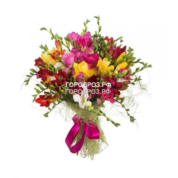 Букет из 25 Фрезий Микс разноцветные