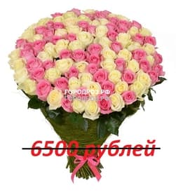 Букет из 65 розовых и белых роз