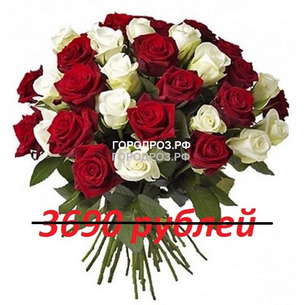 Букет из 41 красной и белой розы