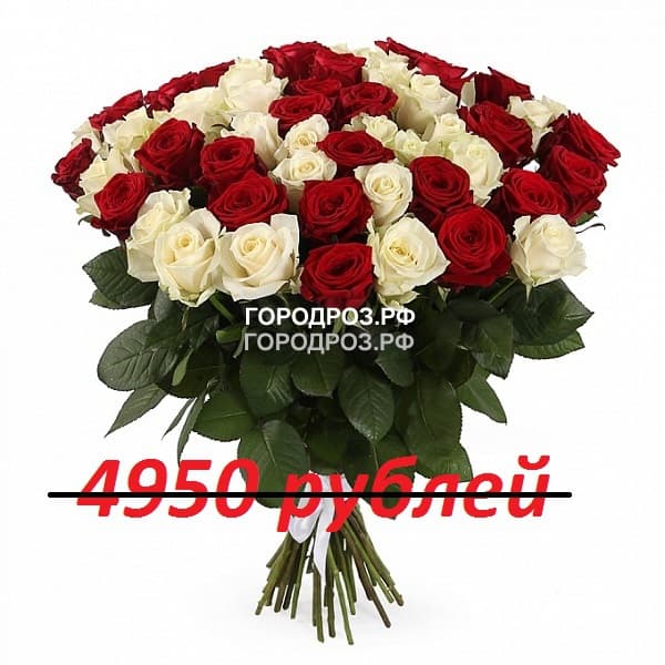 Букет из 55 красных и белых роз