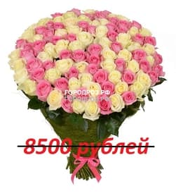 Букет из 85 розовых и белых роз