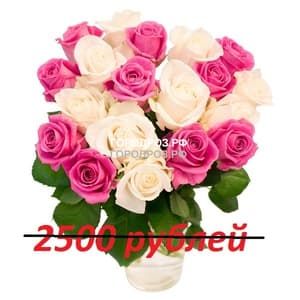 Букет из 25 розовых и белых роз