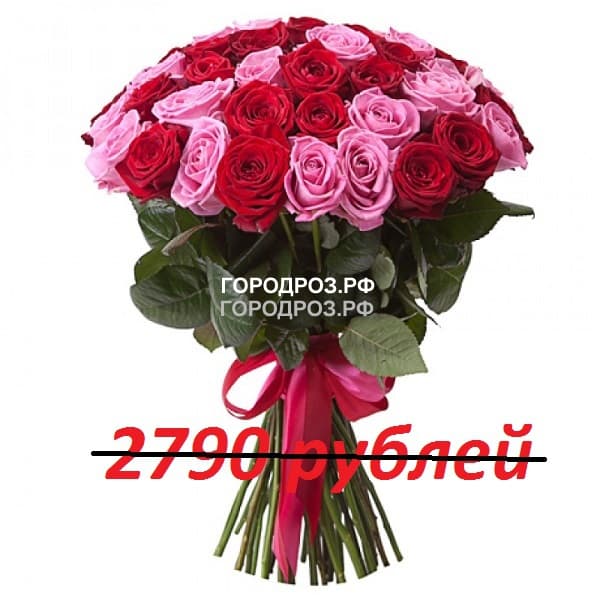 Букет из 31 красной и розовой розы