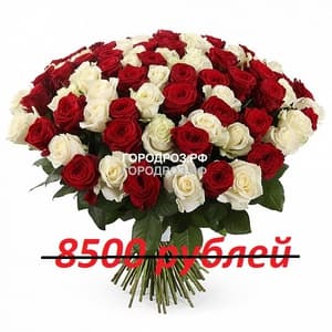 Букет из 85 красных и белых роз