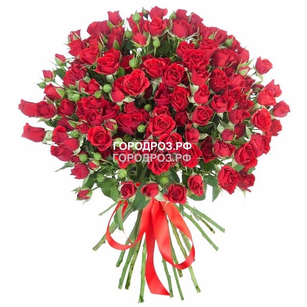 Букет из 29 красных кустовых роз 
