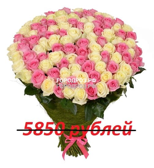 Букет из 65 розовых и белых роз
