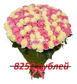 Букет из 75 розовых и белых роз