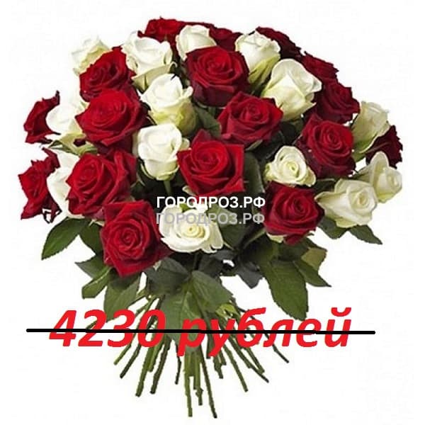 Букет из 47 красных и белых роз
