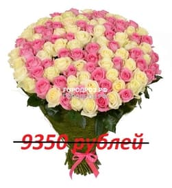 Букет из 85 розовых и белых роз
