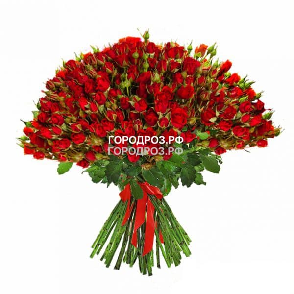 Букет из 51 красной кустовой розы