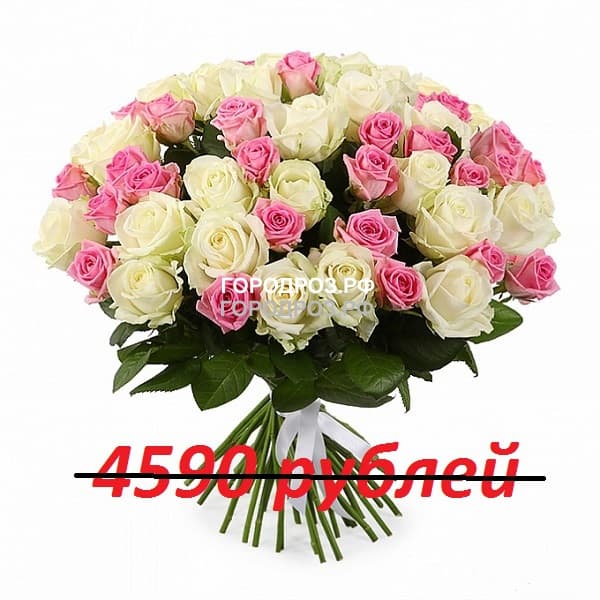 Букет из 51 розовой и белой розы