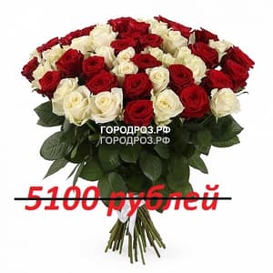 Букет из 51 красной и белой розы