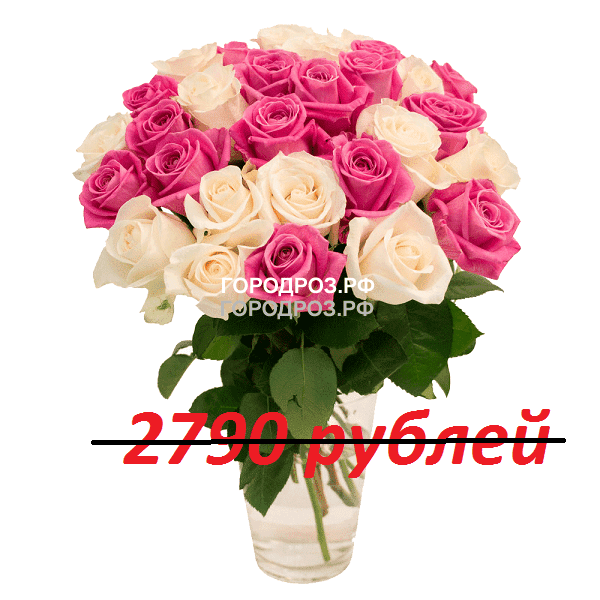 Букет из 31 розовой и белой розы