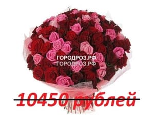 Букет из 95 красных и розовых роз