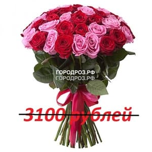 Букет из 31 красной и розовой розы