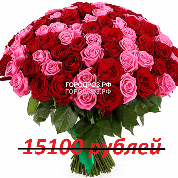 Букет из 151 красной и розовой розы