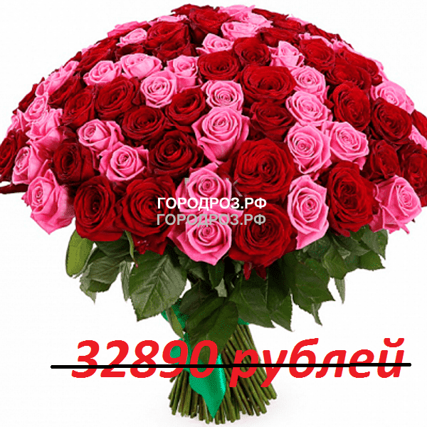 Букет из 301 красной и розовой розы